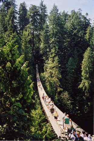 Capilano bridge
